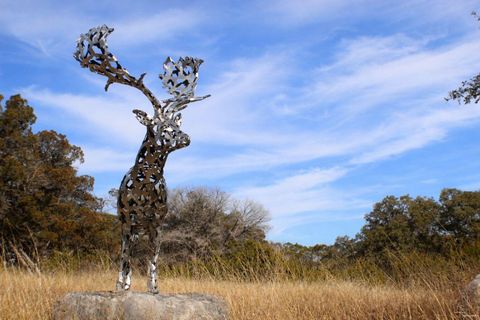 Lot 6 Gene Walker TRL Hunt TX 78024