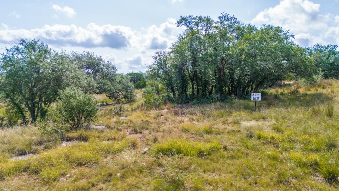 Lot36 Prancing Deer LN