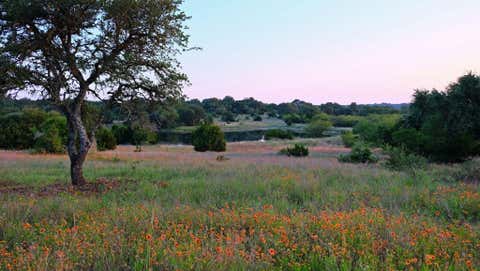 Tiny photo for 8112 Sarcelle DR, Austin, TX 78738 (MLS # 9598011)