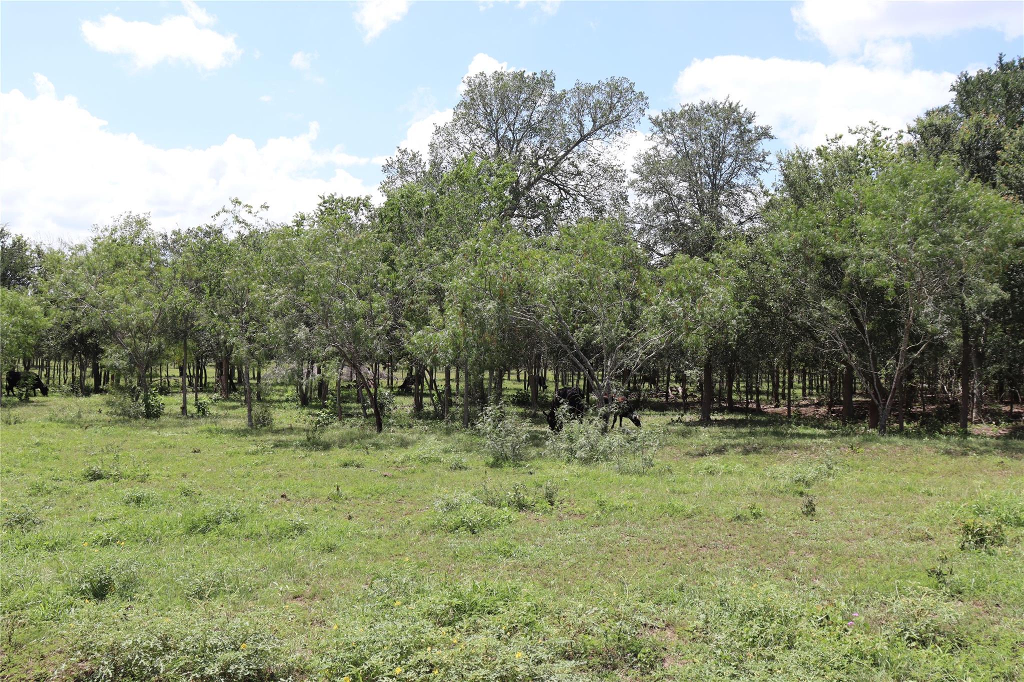 1220 Brushy Branch RD