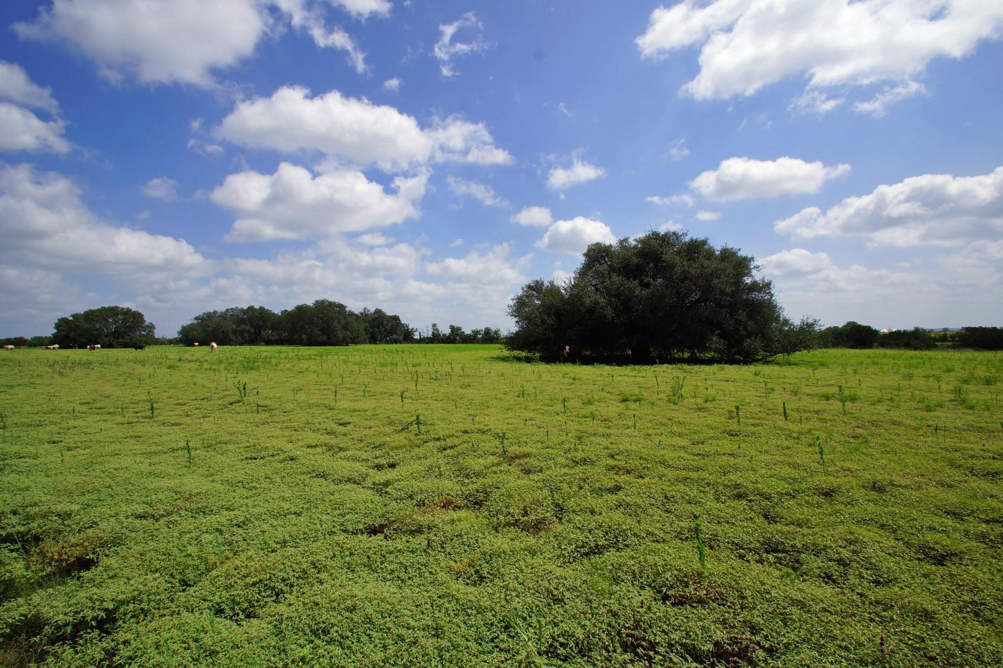 2002 County Road 276