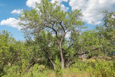 Photo of 12610 River BND, Austin, TX 78732 (MLS # 1633621)