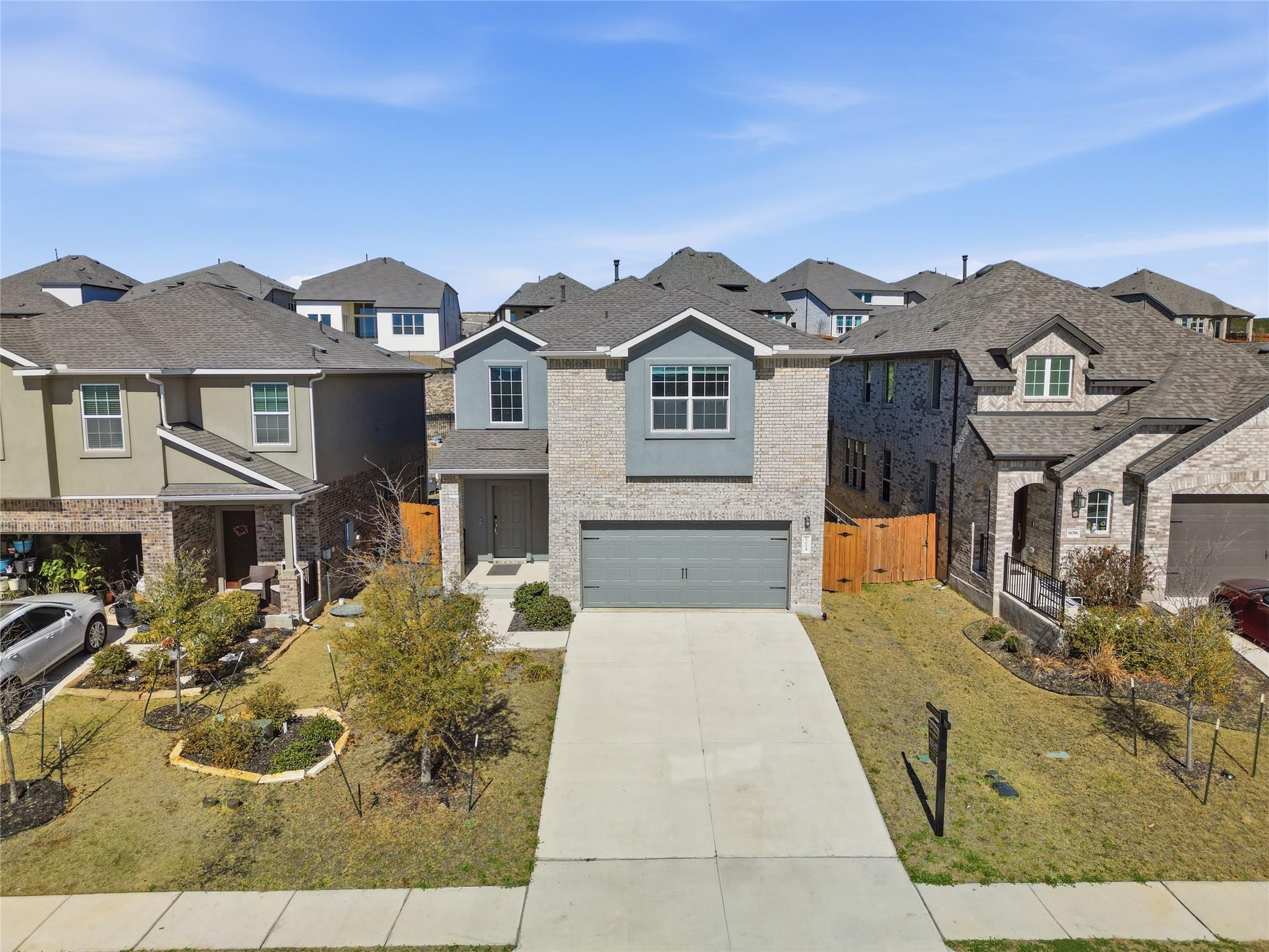 8014 Purple Aster PASS