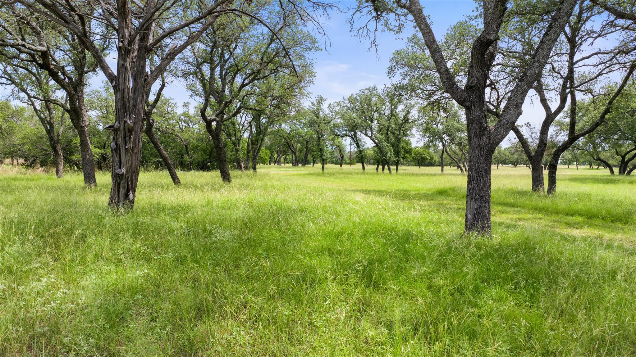1291 Sandy Oaks Ranch RD