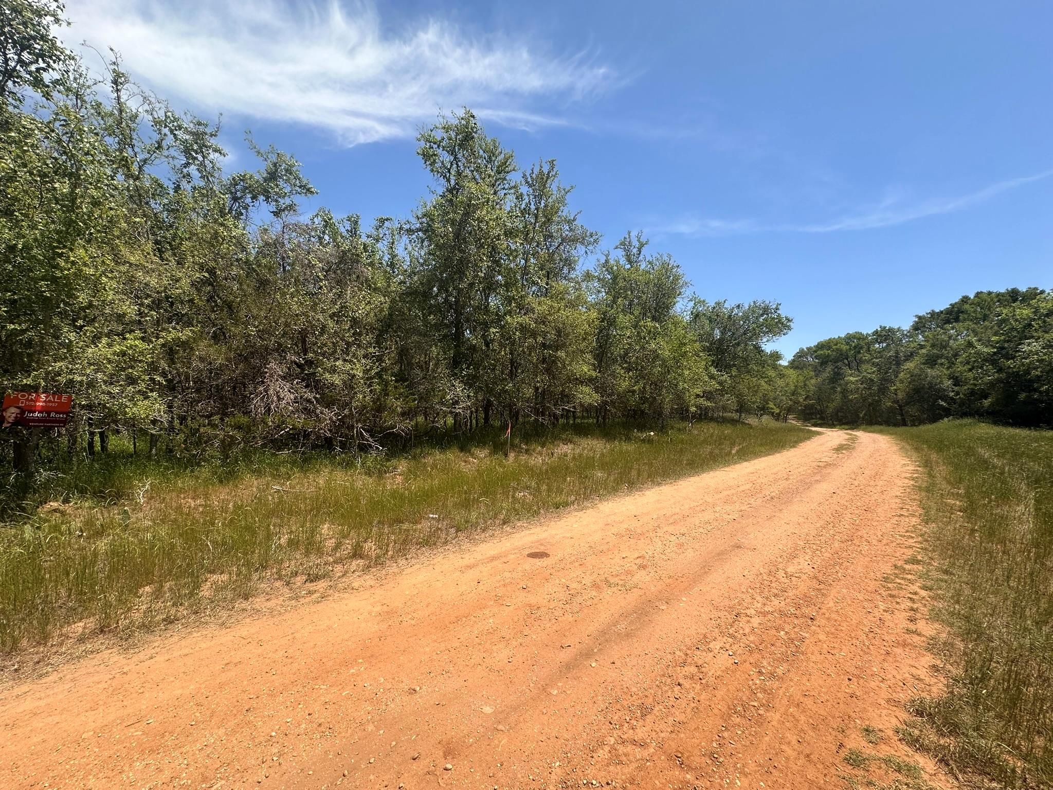 View of street with a wooded view