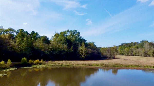 ADDRESS PRIVATE, LOVELADY, TX 75851 - Image 594936dacc5705fd4e9c84a43dcaa62e/2853588192