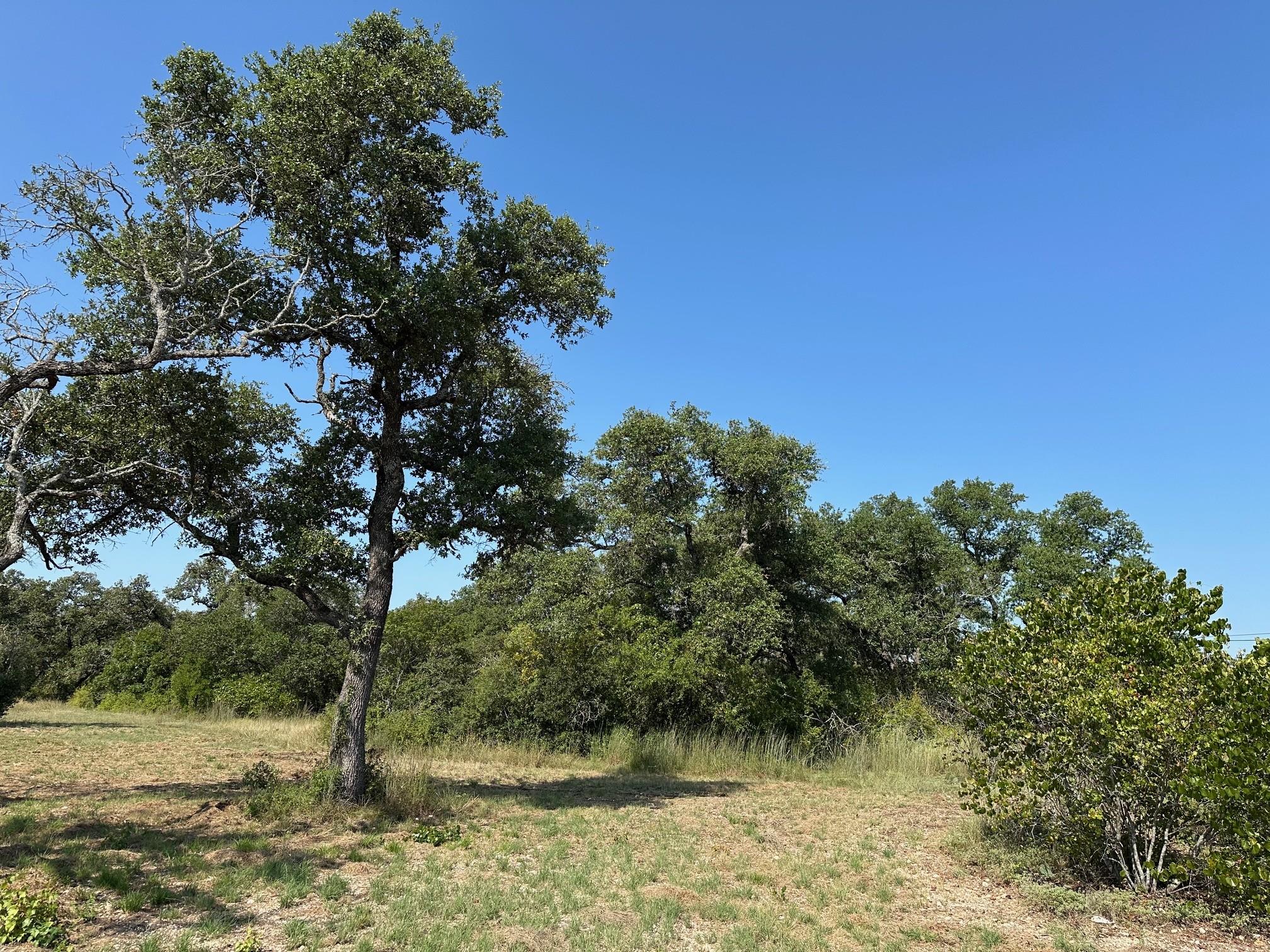 4000 State Highway 29 Highway