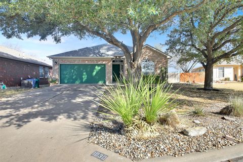 1030 Disraeli CIR Pflugerville TX 78660