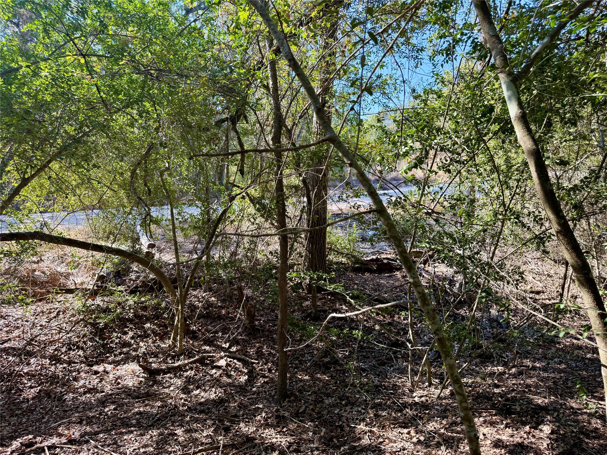 TBD Lot 1233 Hanauma DR