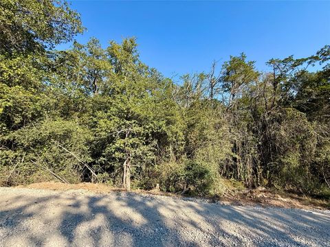 Photo of TBD Lot 1233 Hanauma DR, Bastrop, TX 78602 (MLS # 7545094)