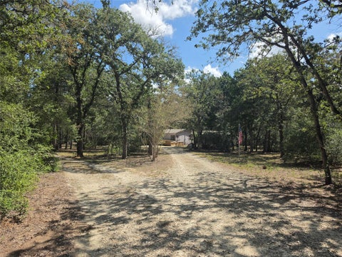 Photo of 319 Green Oaks DR, Bastrop, TX 78602 (MLS # 5518059)