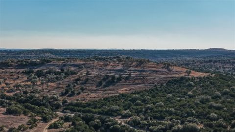 Photo of 2530 County Road 408 S, Spicewood, TX 78669 (MLS # 8255305)