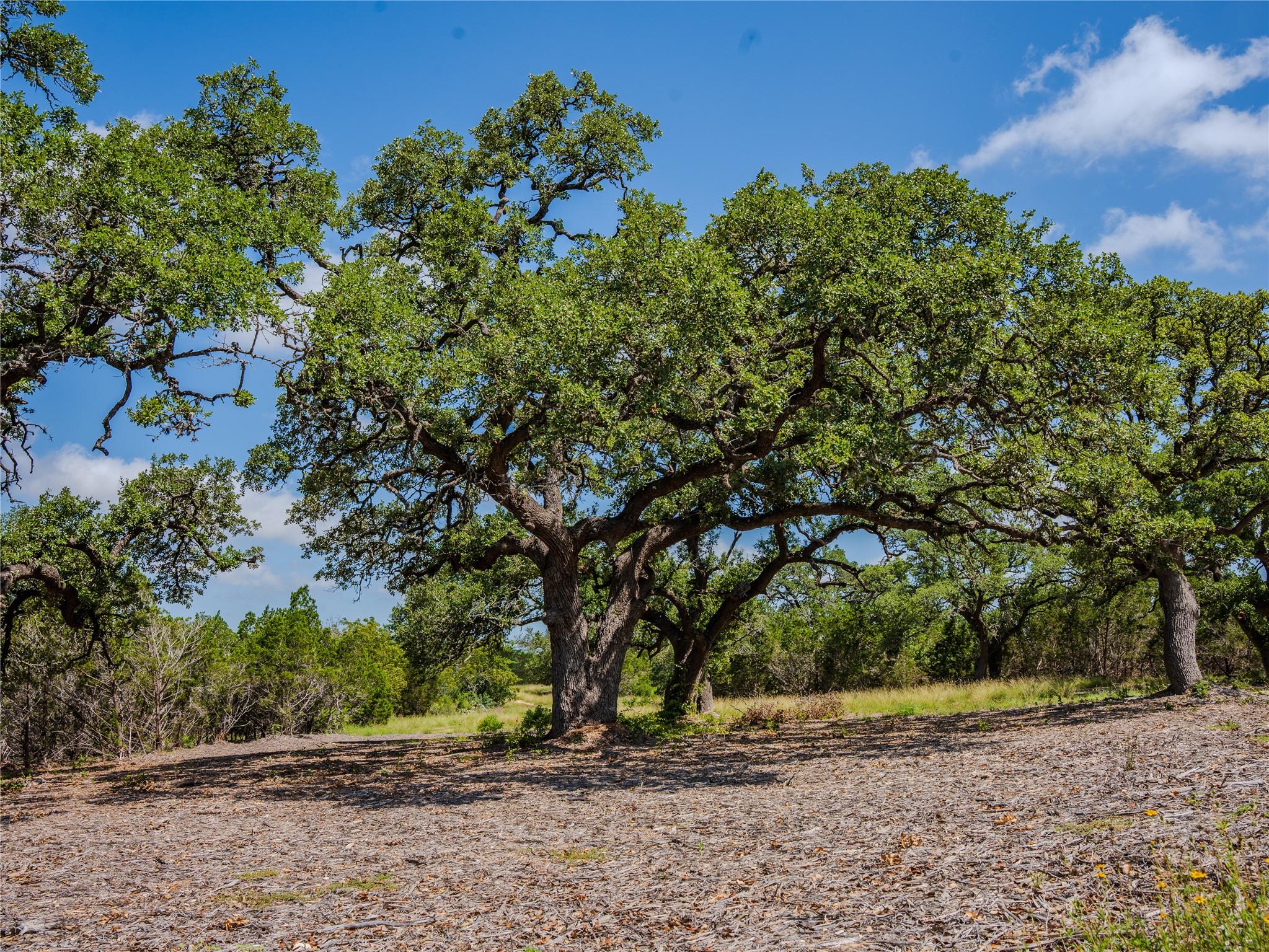 000 Heritage Creek Ranch