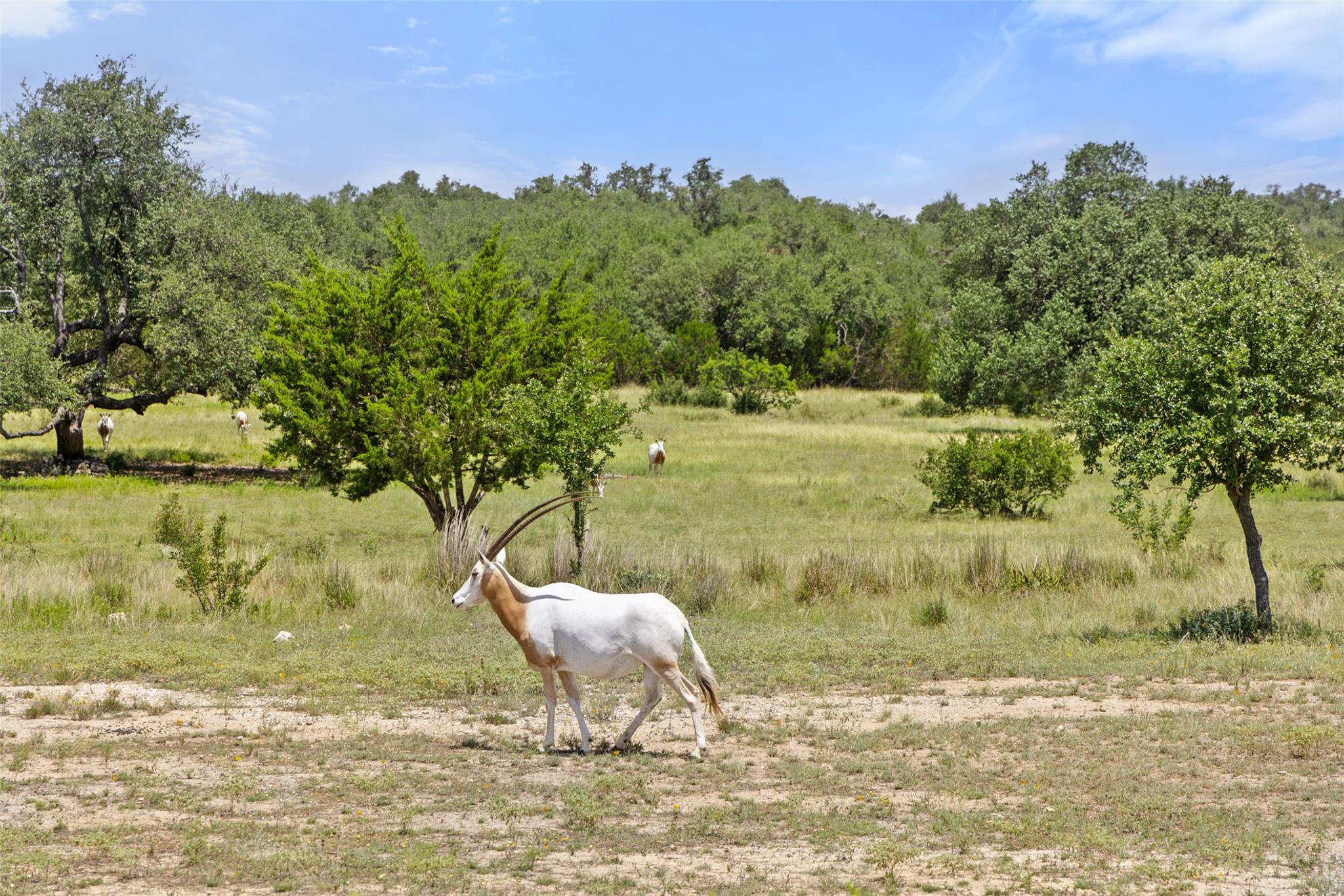 Lot 162 Legacy Hills