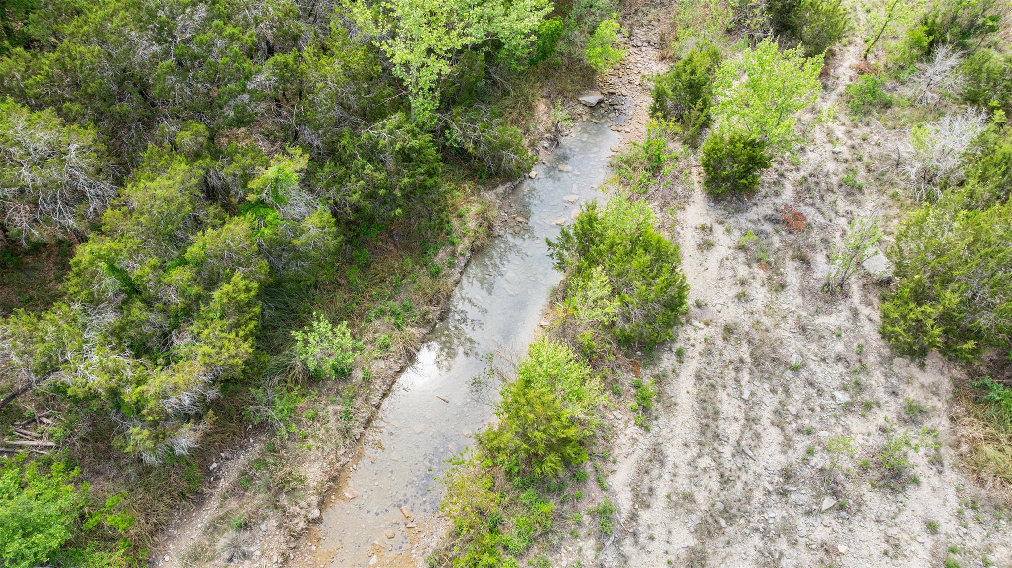 19401 Tessa Heights LN