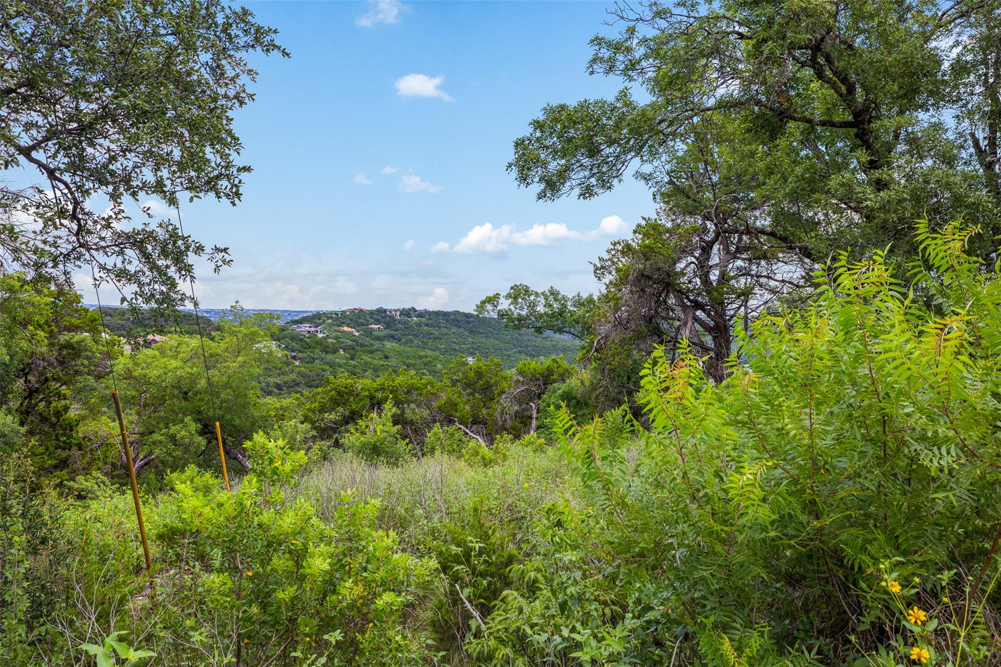 11207 Mountain Top CIR