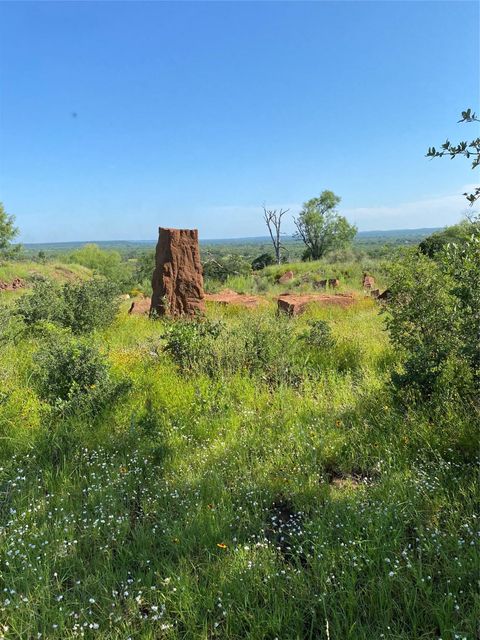 Lot 5 Art Hedwigs Hill RD Mason TX 76856