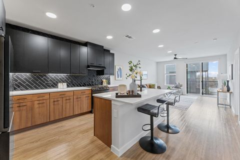 4510 Terry-O LN 302 Austin TX 78745