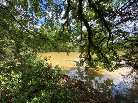 ADDRESS PRIVATE, LINCOLN, TX 78948 - Image 5cb4448c0af90fa5b9d5ecbb20cdfe11/1851368095