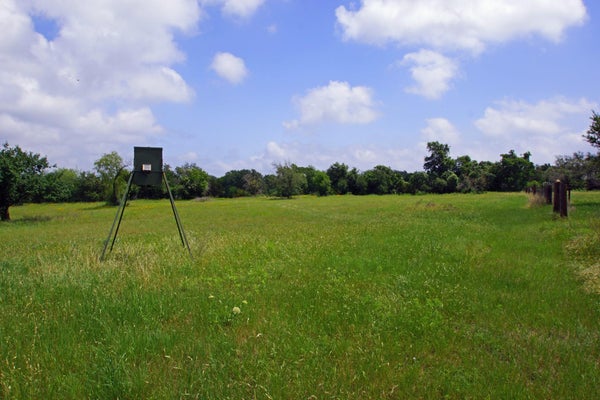 350 APACHE SPRINGS RD, BRIGGS, TX 78608 - Image 5cc6cffbe8ffefb7b368a9daae04f074/1198360835