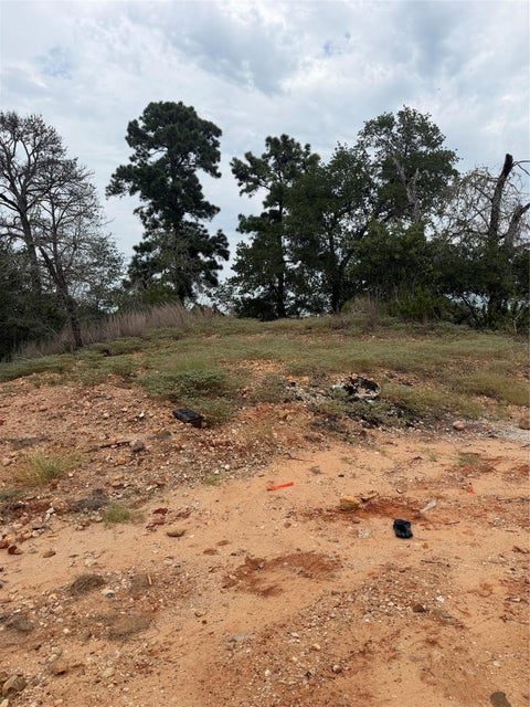 Photo of Lot 237 Kaelupulu DR, Bastrop, TX 78602 (MLS # 9416386)