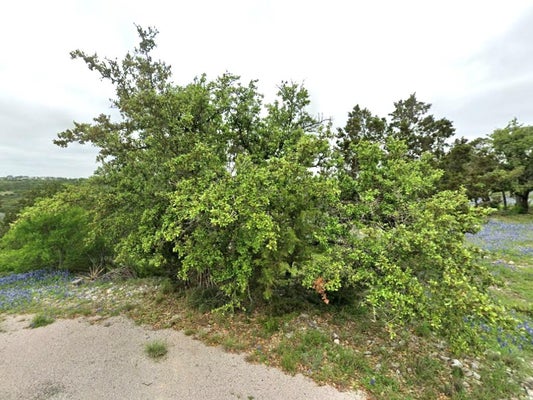 ADDRESS PRIVATE, LLANO SOUTH, TX  - Image 5d3edd04d39f5d76ab7011bc2313a2e1/3973450792