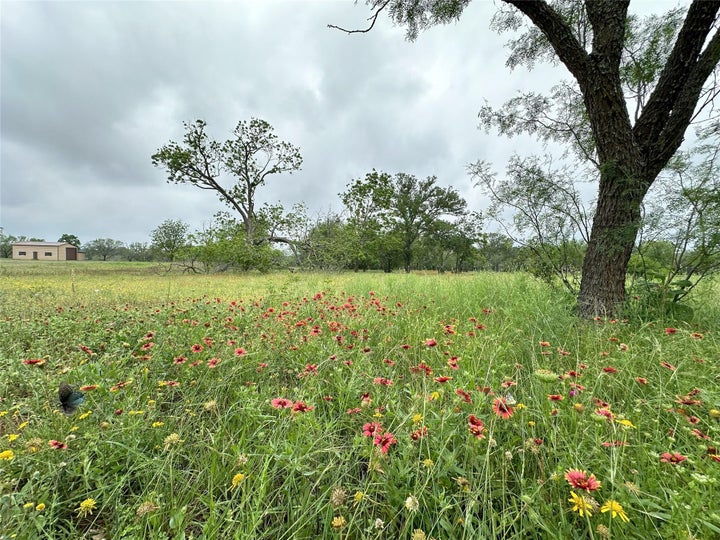 Photo 1 of 38 — 379 Vintners WAY, Fredericksburg, TX 78624