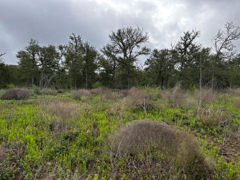 Photo of 805 County Road 467, Thrall, TX 76578 (MLS # 9075682)