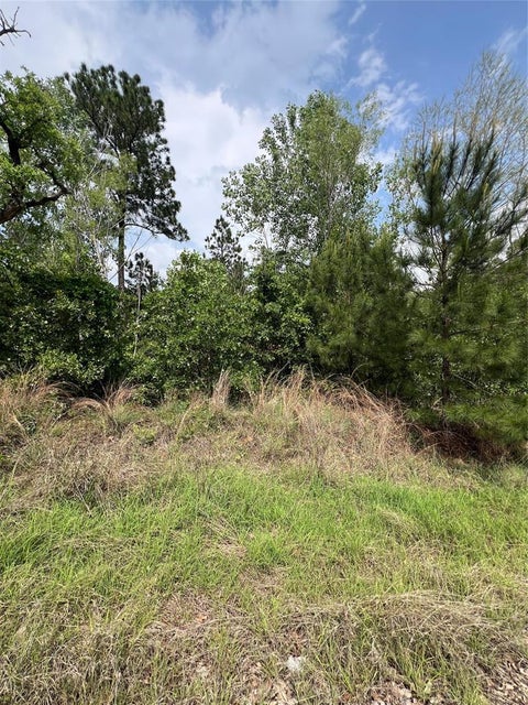 Photo of TBD Monku CT, Bastrop, TX 78602 (MLS # 7654995)