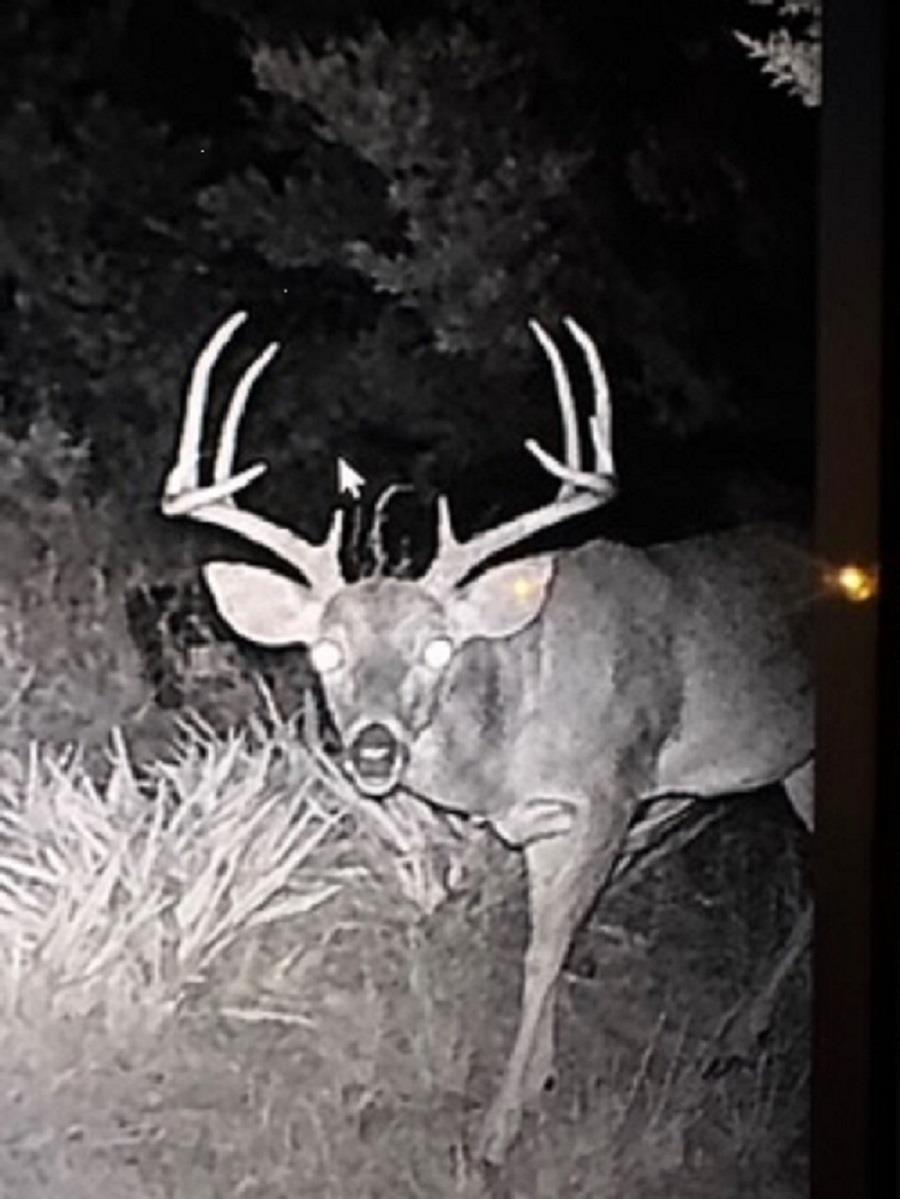 0 US Hwy 183 N Highway