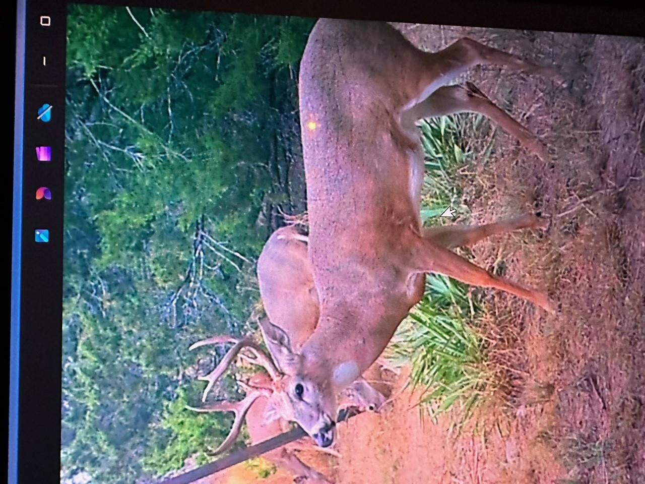 0 US Hwy 183 N Highway