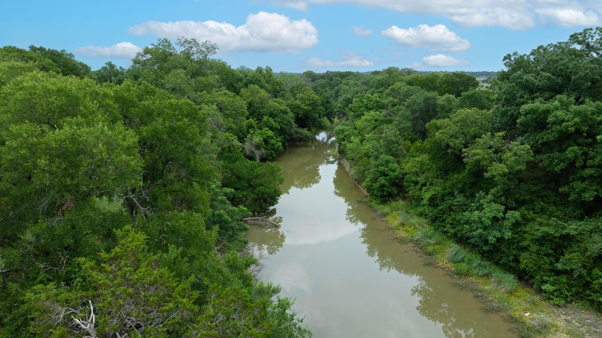 Bird's eye view of a forest and a nearby body of
