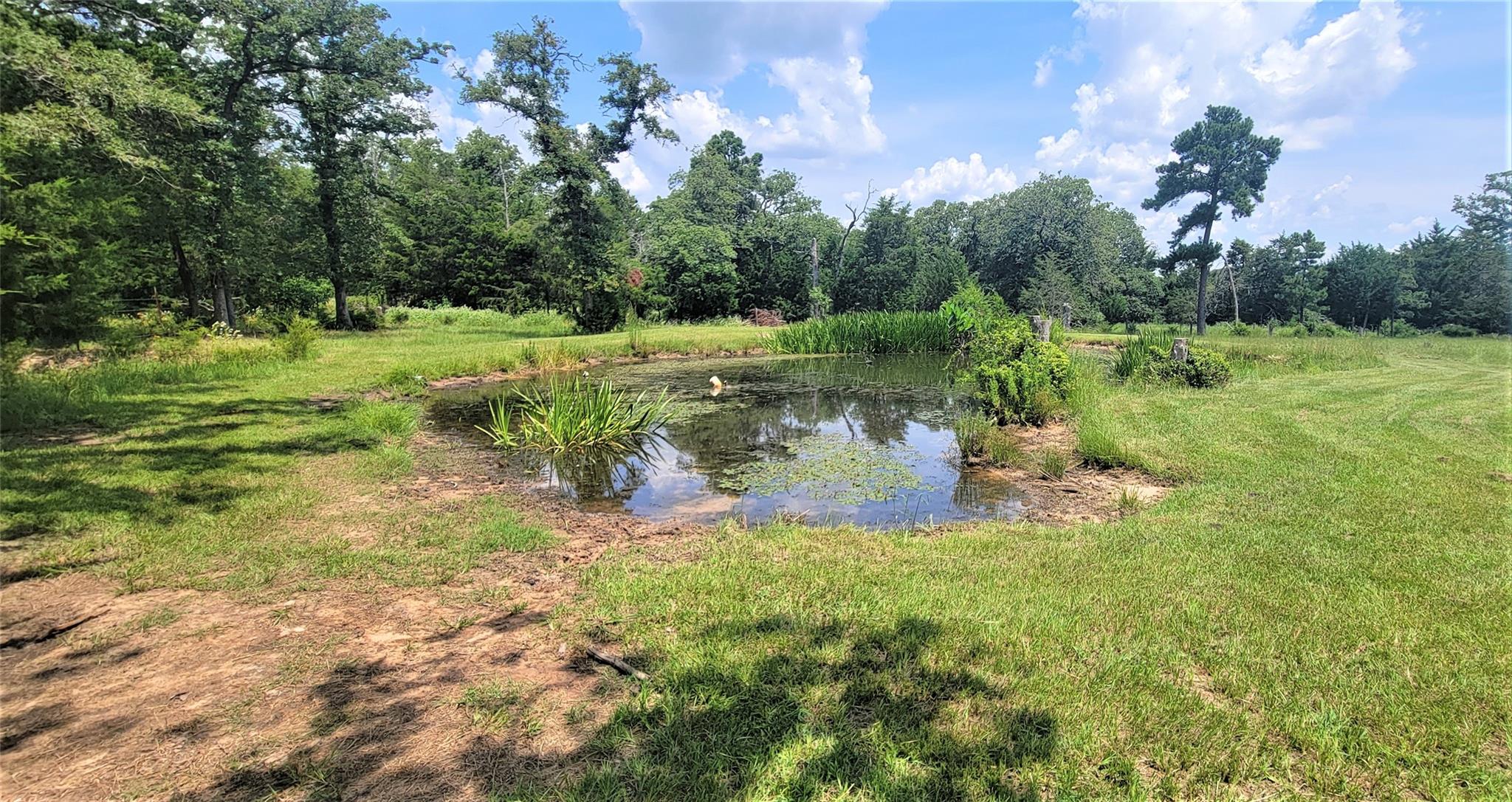 3321 County Road 457