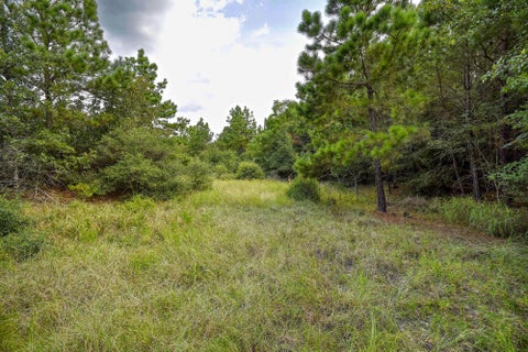 Photo of TBD Kipahulu DR #2, Bastrop, TX 78602 (MLS # 4720456)