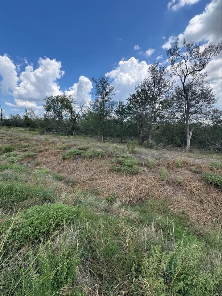 Photo 1 of 6 — 225 Brinley Mae WAY, Lockhart, TX 78644