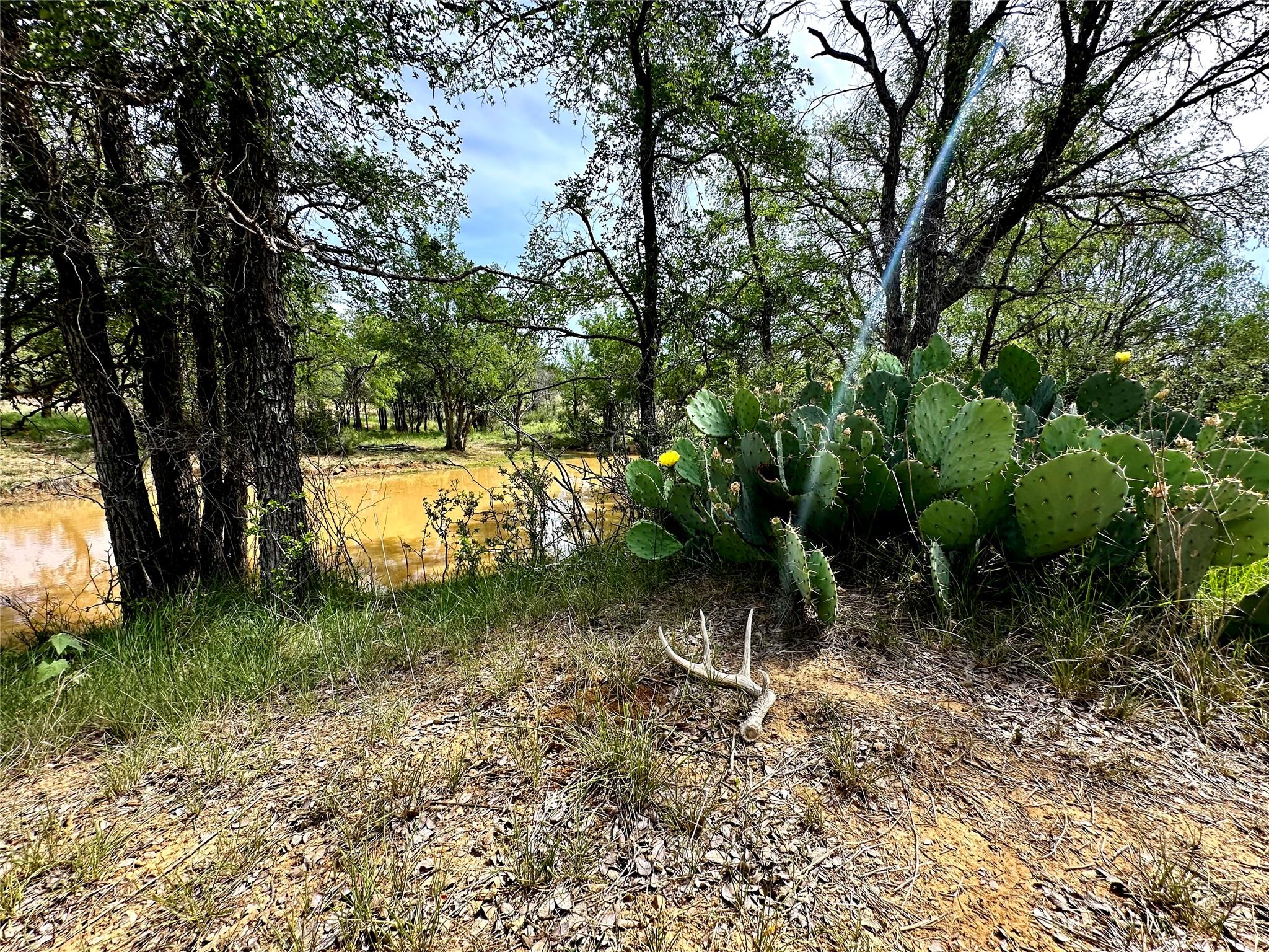 392 County Road 230