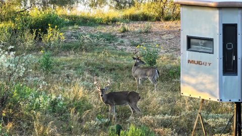 Photo of 392 County Road 230, San Saba, TX 76877 (MLS # 8872800)