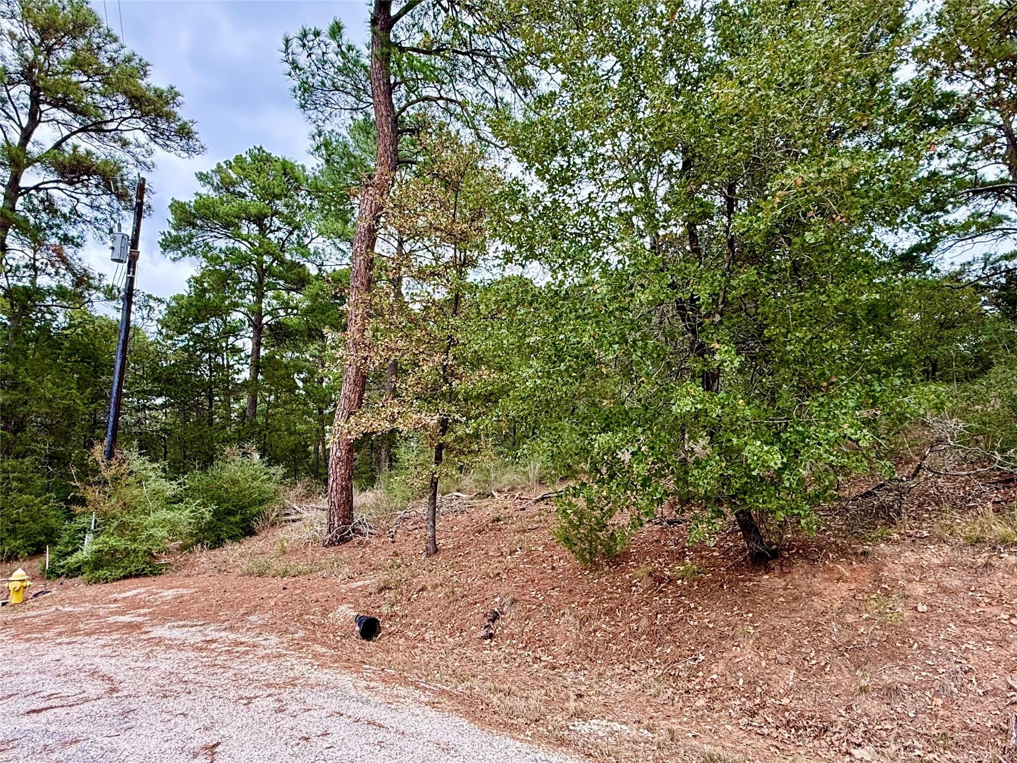 109 and 115 Olomana CT