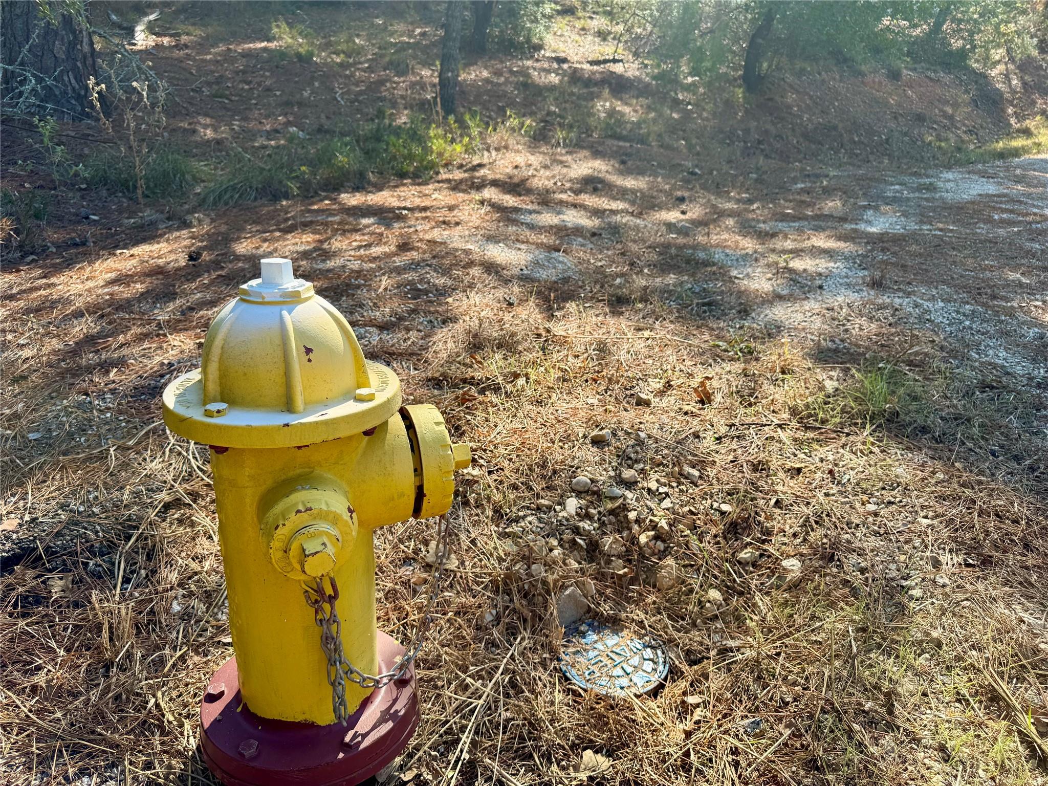 109 and 115 Olomana CT