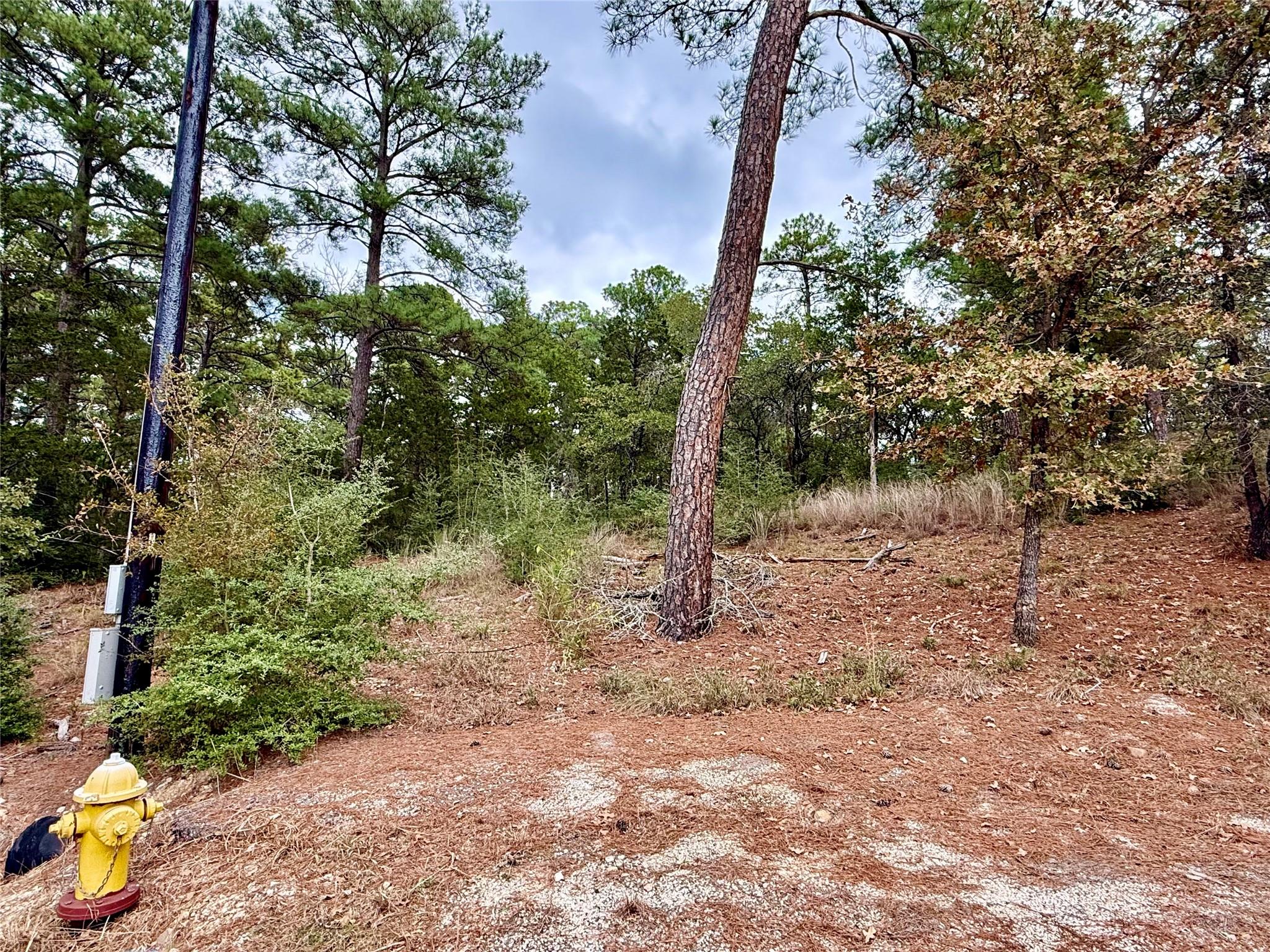 109 and 115 Olomana CT