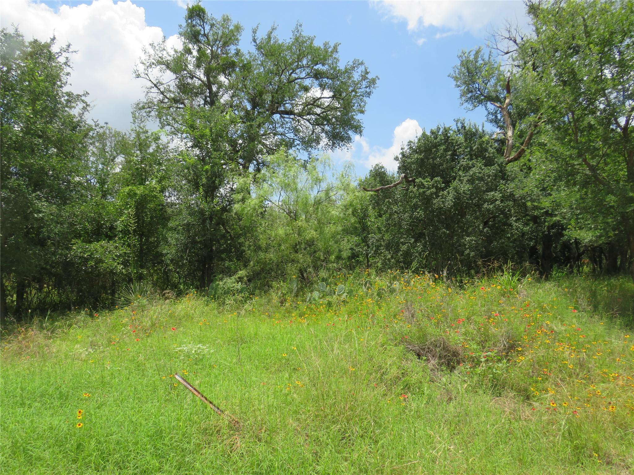 Lot 163 Buena Vista DR