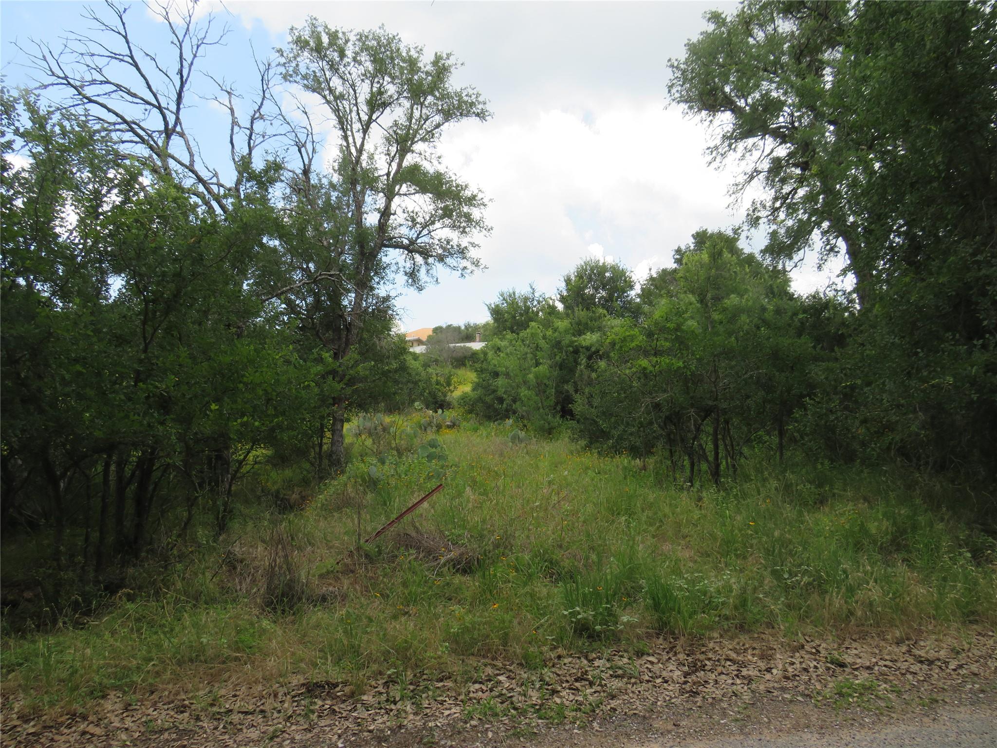 Lot 163 Buena Vista DR