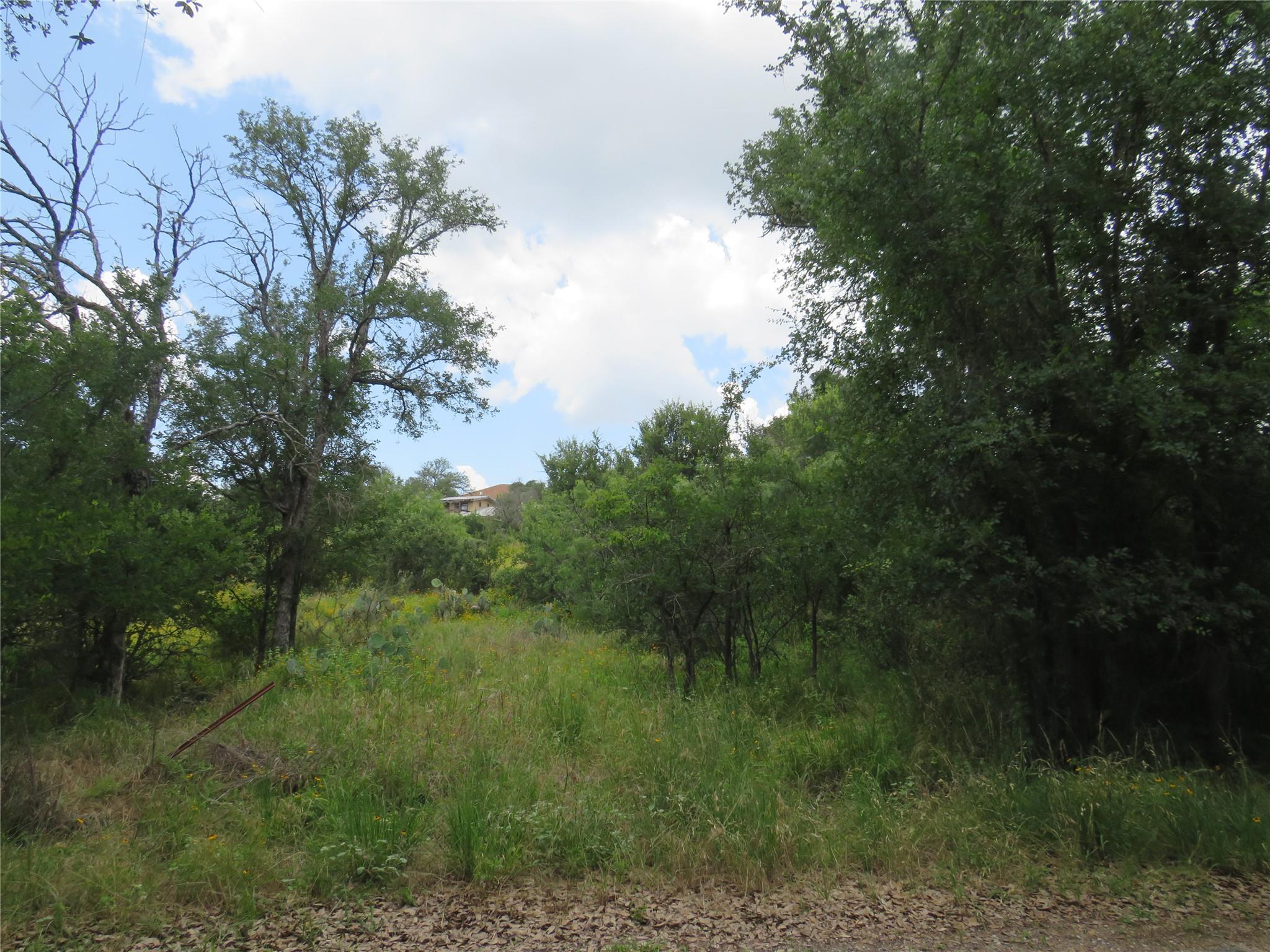 Lot 163 Buena Vista DR