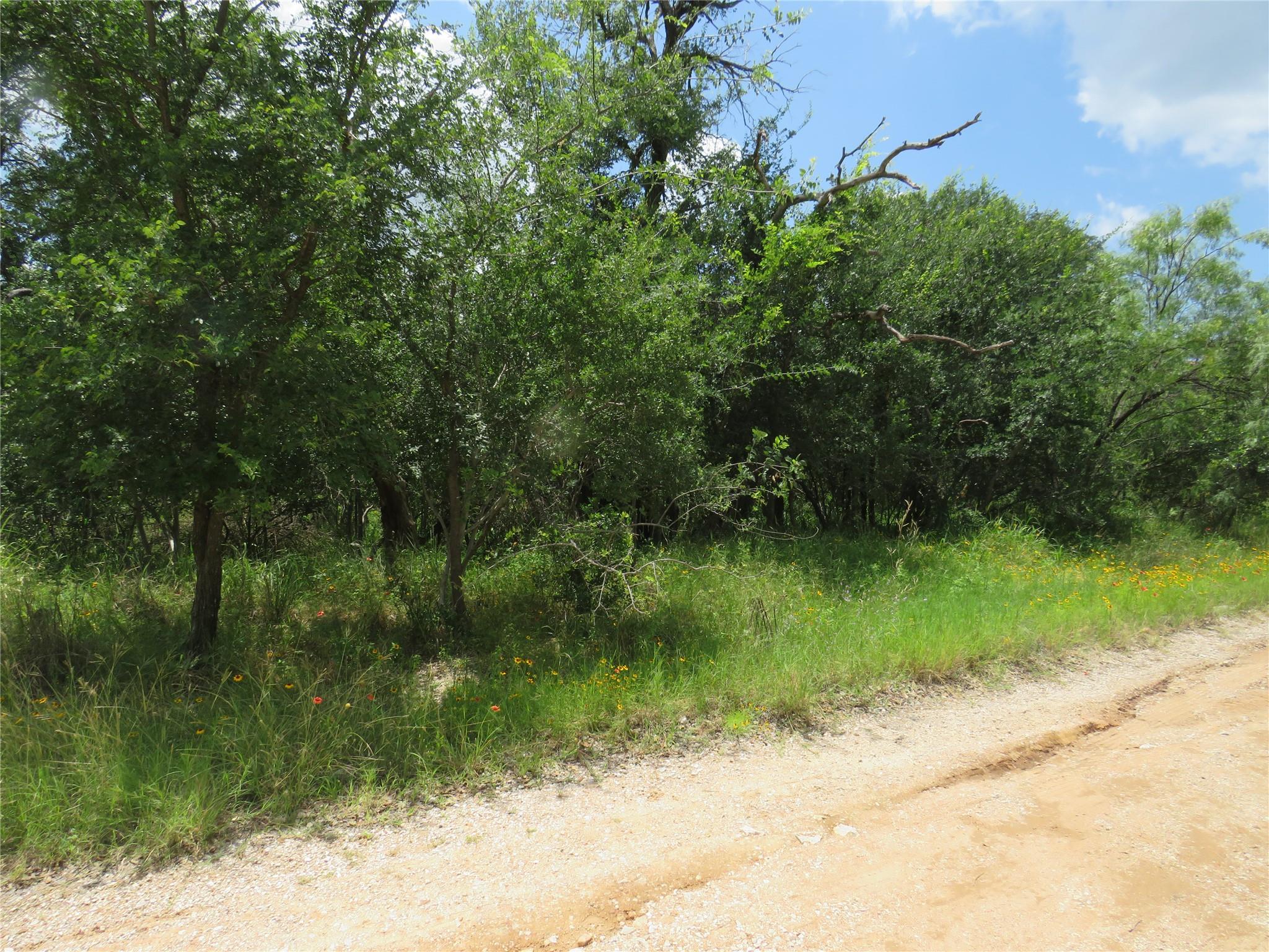 Lot 163 Buena Vista DR