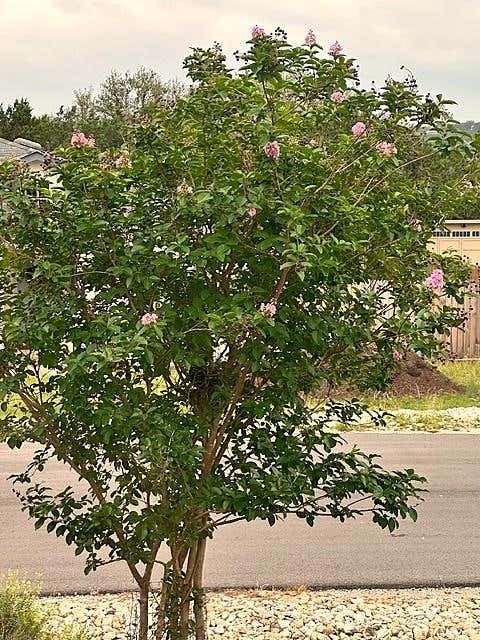 Tiny photo for 21504 Santa Domingo LN, Lago Vista, TX 78645 (MLS # 2826544)