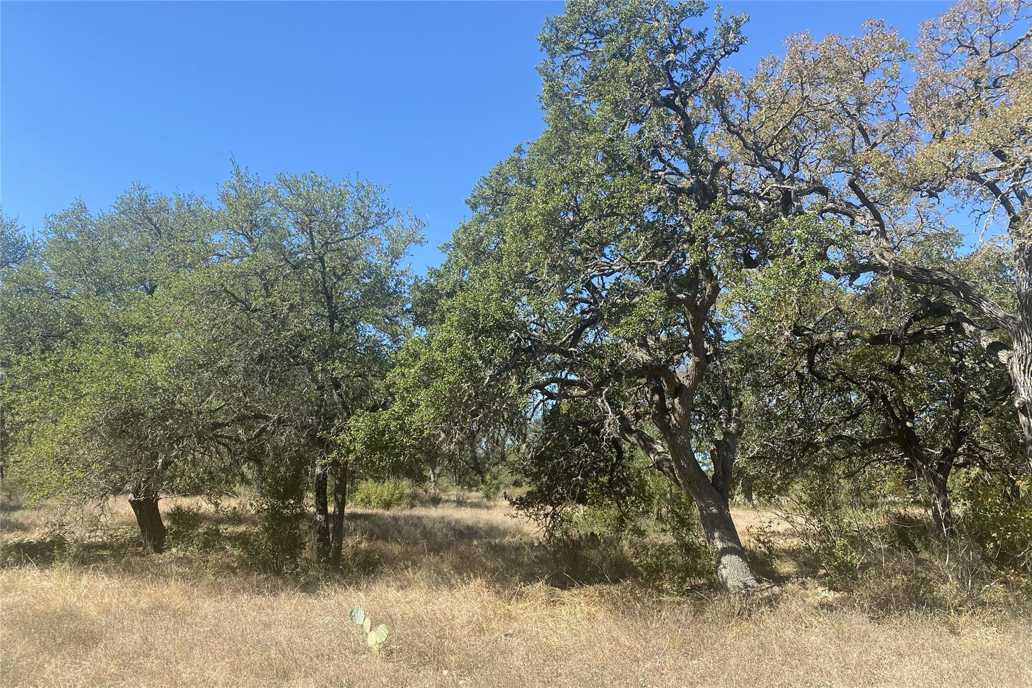 00 Spoke Hollow RD