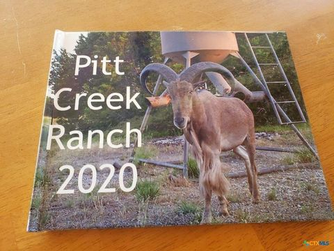 Lot 4 CR 1255 Pitt Creek Ranch Lampasas TX 76550