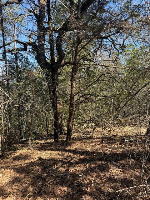 Lot 321 Keneka LN Bastrop TX 78602