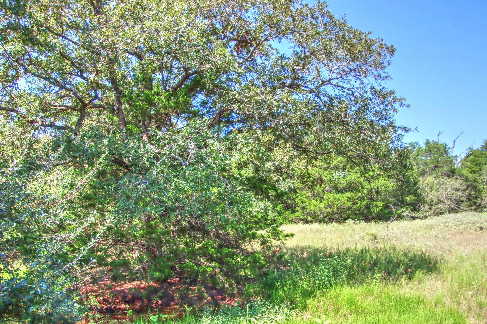 0 Hellinger RD