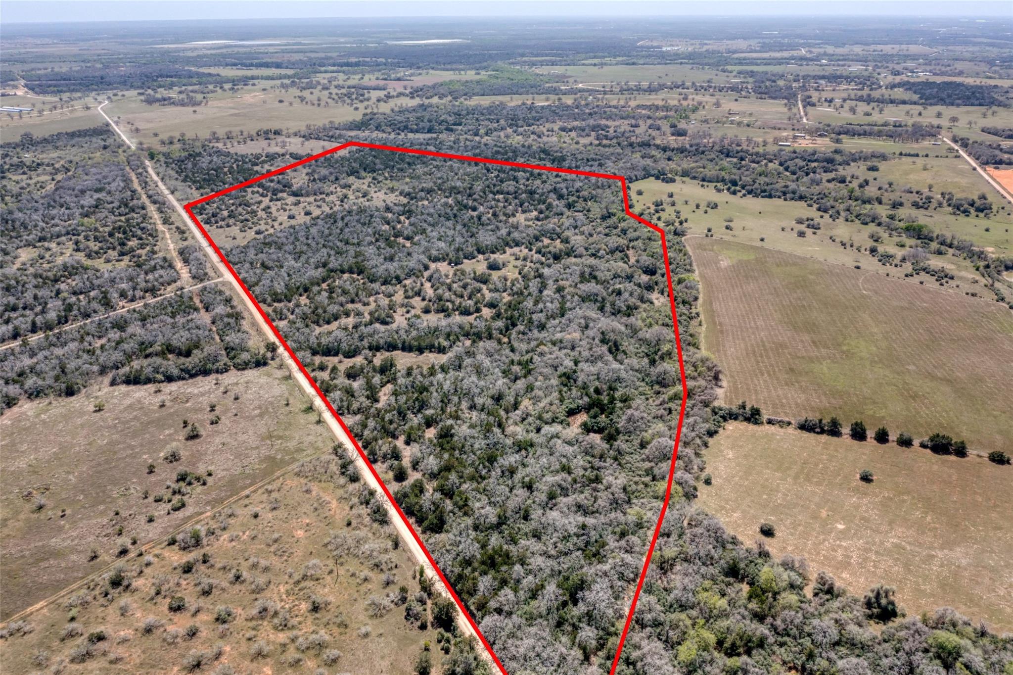 Listing image 7